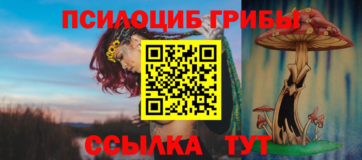 Галлюциногенные грибы Magic Shrooms  Вход с VPN  Прохладный 