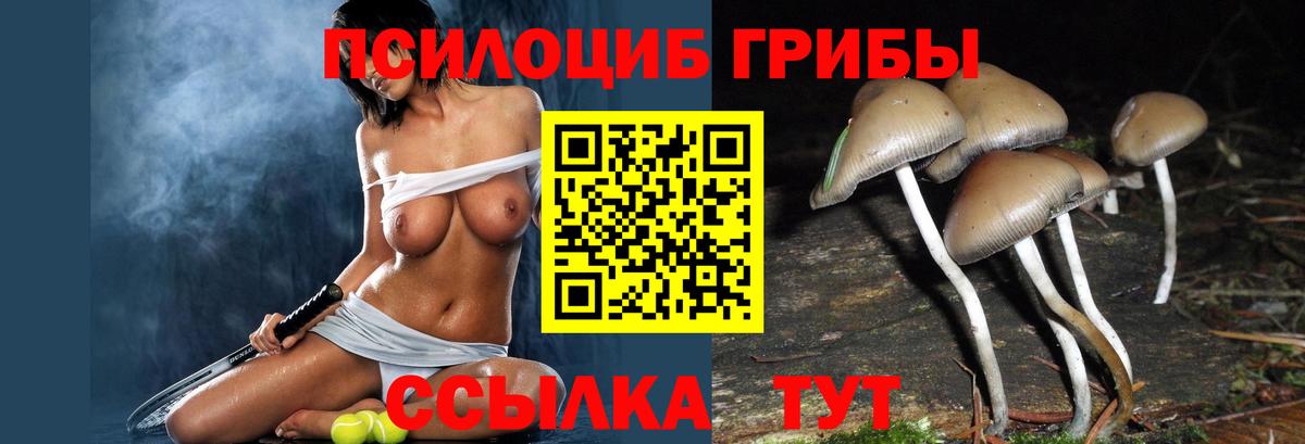 Галлюциногенные грибы MAGIC MUSHROOMS Прохладный